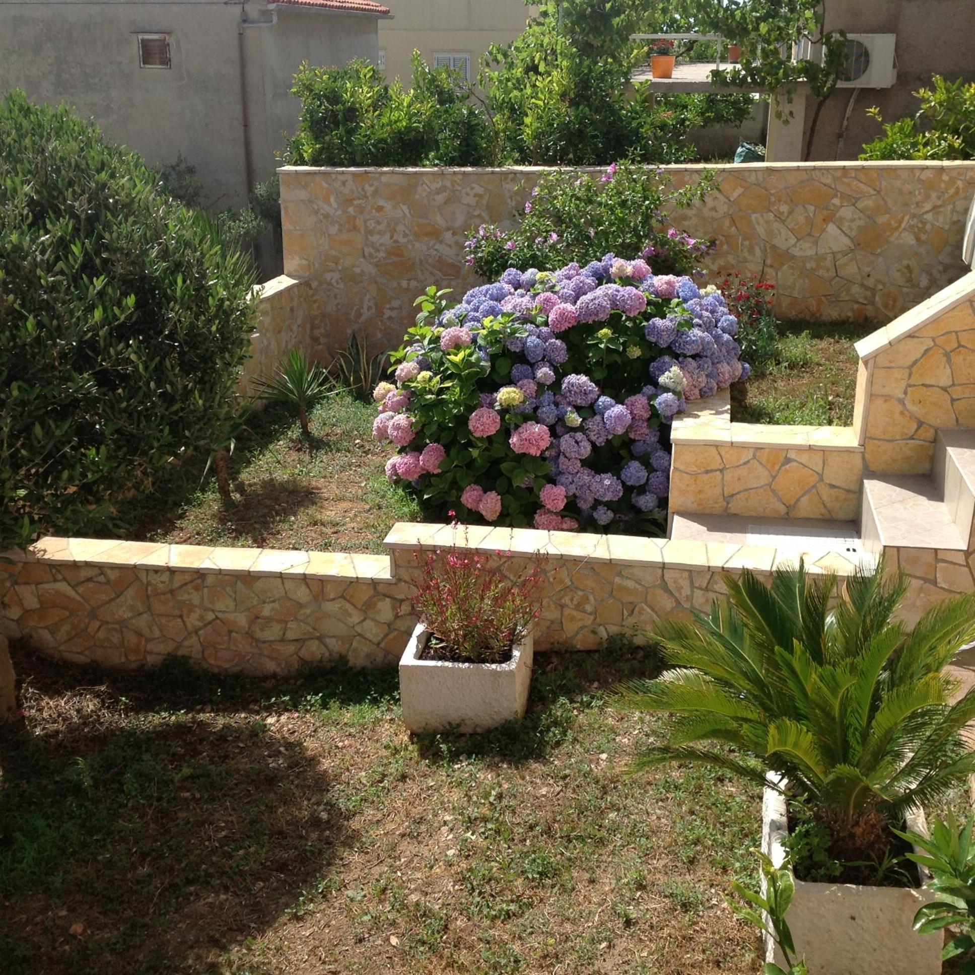 Apartments Kristina Hvar Town Rom bilde